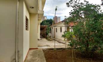 Imagem 3: Terreno plano com 780 metros na Vila Alzira