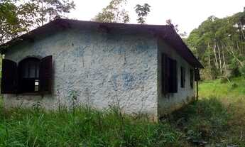 Imagem 5: Sítio 10 alqueires (Mata Nativa