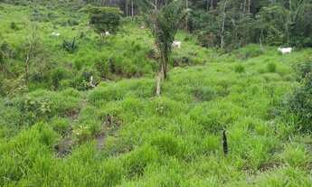 Imagem 2: VENDO FAZENDA 110 ALQUEIRES REGIÃO RIO SONO