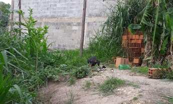 Imagem 3: Vendo ou troco por algo do meu interesse