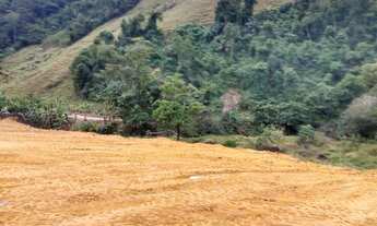 Imagem 2: Vendo sítio Chácara com venda por R$90.000