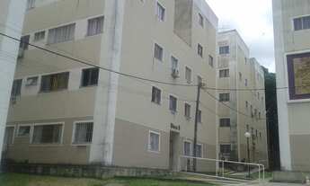 Imagem 5: BOSQUE DAS PALMEIRAS