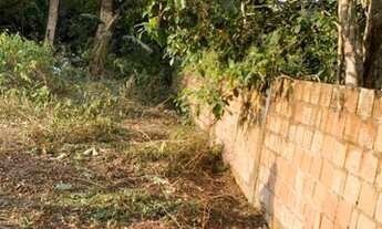 Imagem 5: Vendo ou Troco Terreno na AM 010 de 60mt2