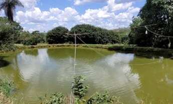 Imagem 7: Fazenda à venda de 117,85 hectares Próximo Gama DF