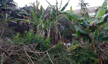 Imagem 7: Vendo excelente terreno semiplano na Tijuca em Teresópolis!