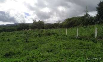 Imagem 4: Terreno para Chácara em Buique!