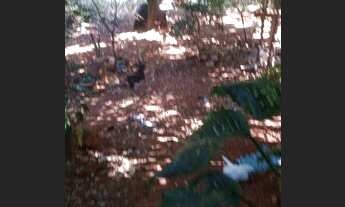 Imagem: Casa no Dona Íris 2