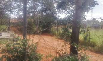 Imagem 6: Sitio 1000 metros