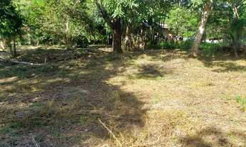 Imagem 4: Lote no Goiabal Terreno / lote com venda por R$8.500