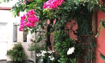 Imagem 5: SAO PAULO - Casa Comercial - PARAISO