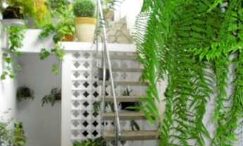 Imagem 3: SÃO PAULO - Casa Padrão - CAMBUCI