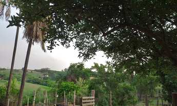 Imagem 4: CHÁCARA EM MERIDIANO