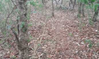 Imagem 2: Vende-se um terreno