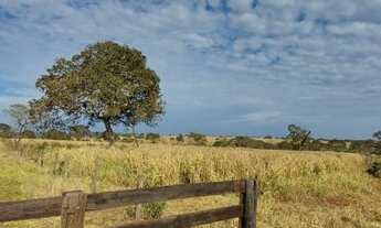 Imagem: Fazenda 40.9 Alqueires Região De Iturama/MG