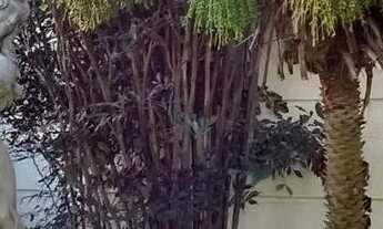 Imagem 2: Apartamento para aluguel com 96 metros quadrados com 3 quartos em Cidade Nova - Indaiatuba