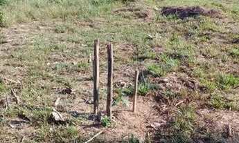 Imagem 5: Vende se chácara perto do banho Paraisópolis