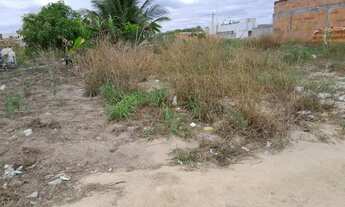 Imagem 2: Lote em sooretama