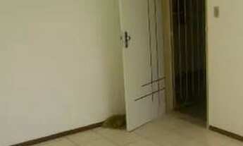 Imagem: Apartamento 3/4 itapoan