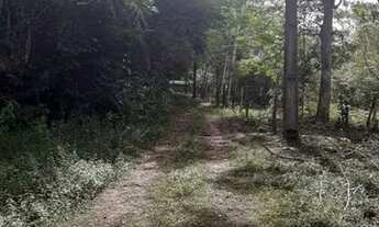 Imagem 2: Um ótimo terreno medindo 30 m x 100 m (3000 m²)