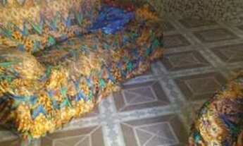 Imagem 6: Aluga-se ou vende-se. Casa em paripe