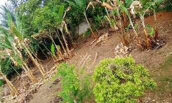 Imagem 2: Terreno em monte gordo