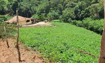 Imagem 4: Vende se sítio Chácara com venda por R$210.000