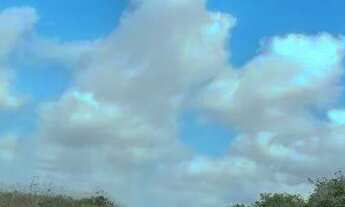 Imagem 2: Excelente Fazenda com 497 hectares na região de João Câmara terra com grande potencial