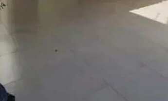 Imagem 5: TR -OPORTUNIDADE CASA EM PARIPE