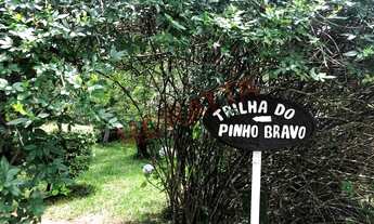 Imagem 4: Venda de Apartamento em São Paulo