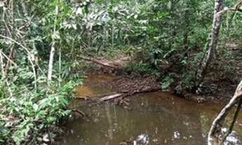 Imagem 5: Fazenda escriturada GEO e CAR com 310 hectares terra cultura próximo rodovia