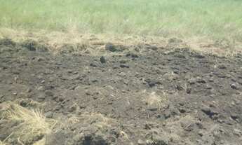Imagem 7: Fazenda de 16 Mil Hectares Região de Ribeirão Cascalheira - MT