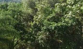 Imagem 3: Terreno 1000m2 Condominio Jardins; Retiro do chalé