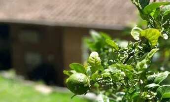 Imagem 6: Linda Chácara com Acomodações Confortáveis, Piscina, Horta e Pomar em Mairiporã