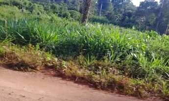 Imagem 2: Vende se chácara perto do banho Paraisópolis