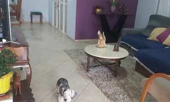 Imagem 5: Casa no bairro Tarraf I em São José do Rio Preto - SP