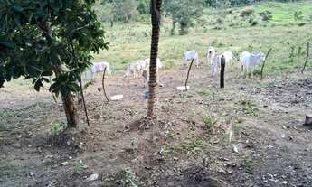 Imagem 4: Vendo maravilhoso sítio em alagoinhas