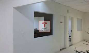 Imagem 4: Galpão, Vila Maria - São Paulo