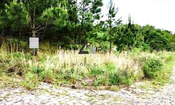 Imagem 3: Terreno de esquina no bairro Desvio Rizzo