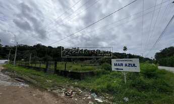 Imagem 3: Área à venda em Paripueira às margens da AL-101 Norte