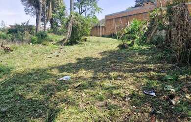 Imagem 5: Área à venda medindo 2663 m² por R$ 1.200.000 - Paloma - Colombo/PR