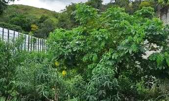 Imagem 4: Terreno 600 m2 (12m x 50m) Jucu - Loteamento Santa Julia, Viana - ES (Proximo a Thermopor