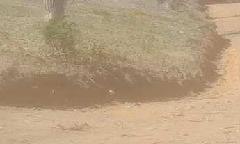 Imagem 7: Chacara rural no sítio novo