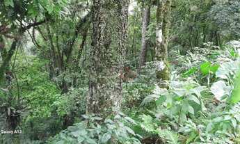 Imagem 3: Terreno à venda em Canela!