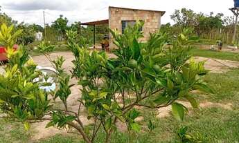 Imagem 5: Vende-se chácara na Marajó-Go