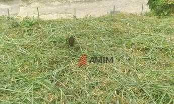 Imagem 5: Terreno à Venda, 750 m² por R$ 250.000 - Itaipu - Niterói/RJ