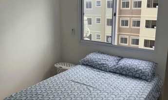 Imagem 2: Vendo Apartamento Torre dos Holandeses 45m2