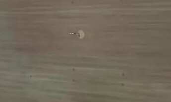 Imagem 6: APARTAMENTO NA RODOLFO CHERMONT