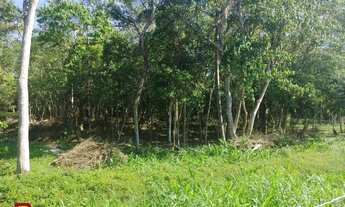 Imagem 6: Terreno Residencial em Ratones