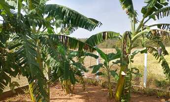 Imagem 7: Vendo chácara na região de Monções/Macaubal