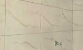 Imagem 6: Casa á venda com 2 quartos sendo 1 suíte no Nova Lima em Campo Grande - MS